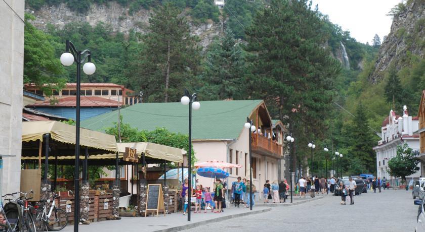 Borjomi Central Park Apartment