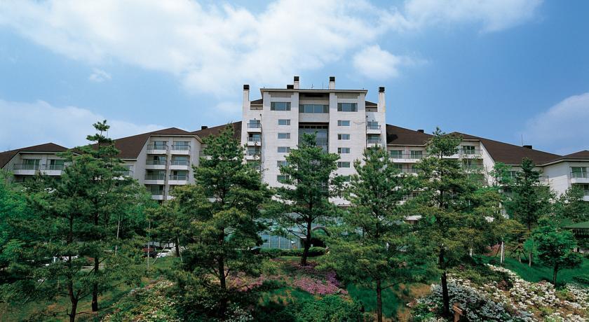 Yongpyong Resort Tower Condo