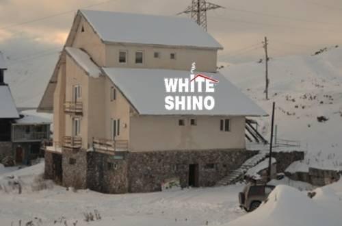 White Shino Hostel