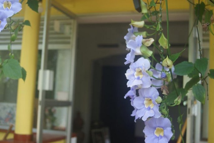 Ananda Home Stay and Restaurant