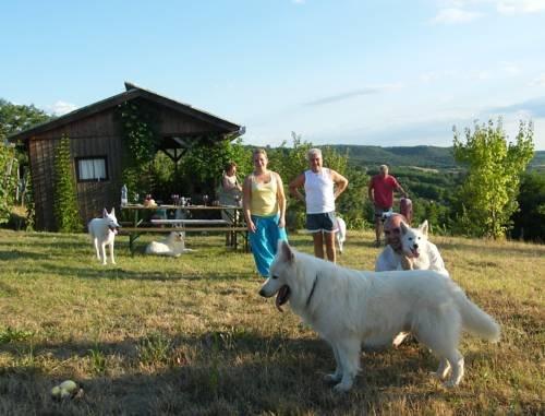 Ferienhaus Waldhof - dream vacation