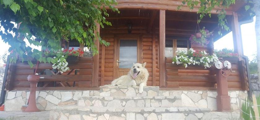 Holiday Home Zoric