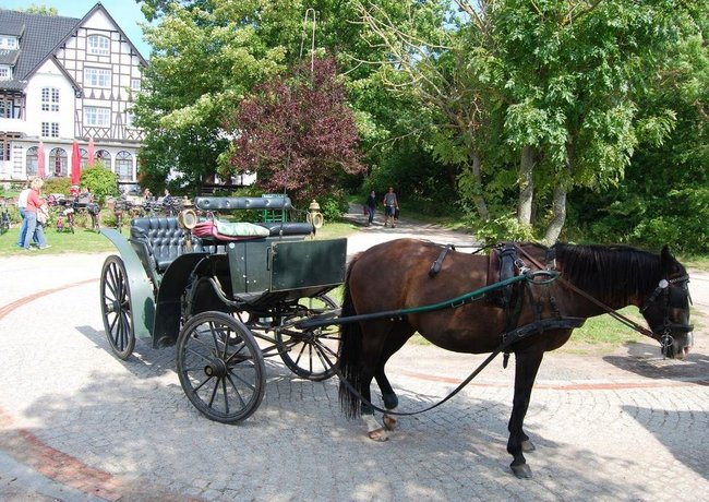 Hotel Hiddensee Hitthim