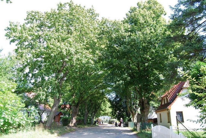 Hotel Hiddensee Hitthim