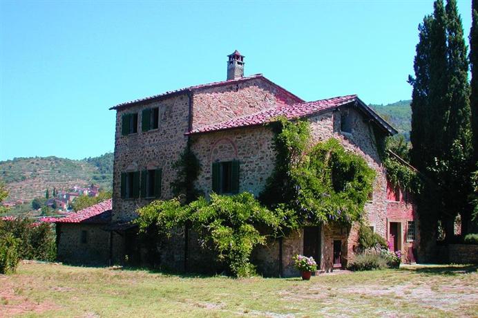 Olivo Arezzo