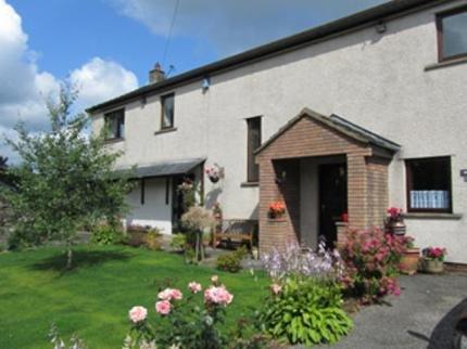 B&B Meadow View