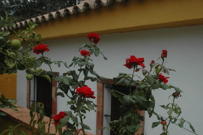 Casa Jazmin Barbate