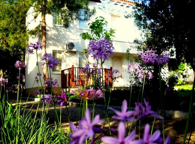 Teos Village