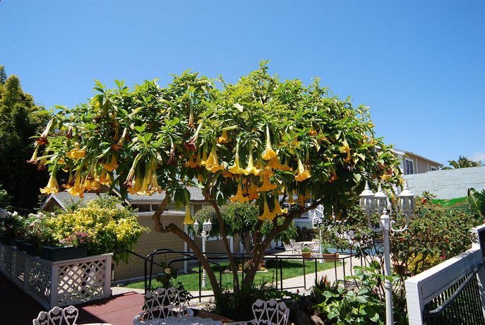 Rose Garden Inn Berkeley Die Gunstigsten Angebote