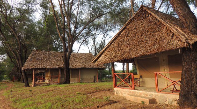 Loyk Mara Luxury Camp Masai Mara