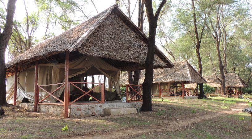 Loyk Mara Luxury Camp Masai Mara