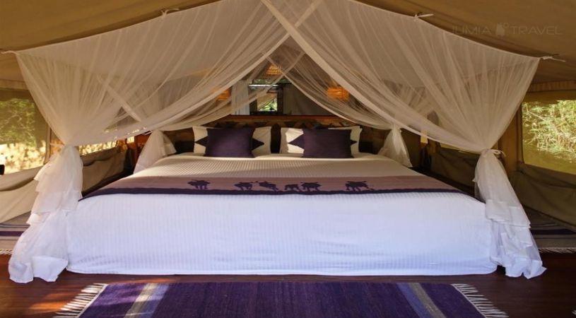 Sarova Mara Game Camp