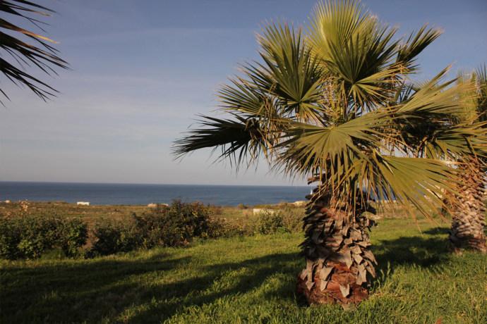 Homestay in Pembroke near Balluta Bay - dream vacation