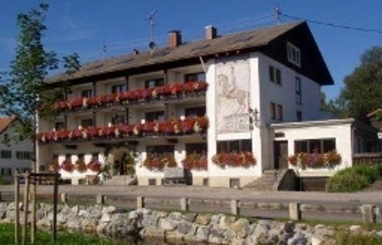 Hotel-Gasthof Zum Dragoner