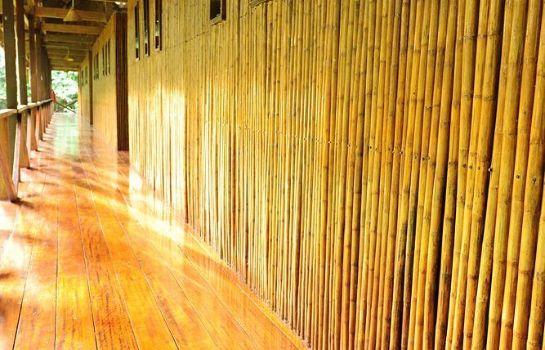 Refugio Amazonas Lodge