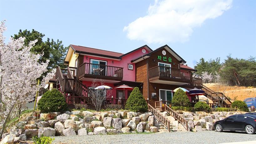 Nature forest pension