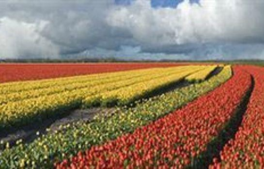 De Pelikaan Hotel Texel