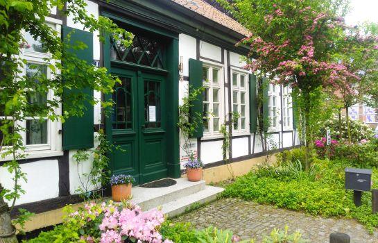 B&B Rosindell