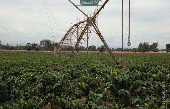 Weru Weru River Lodge 