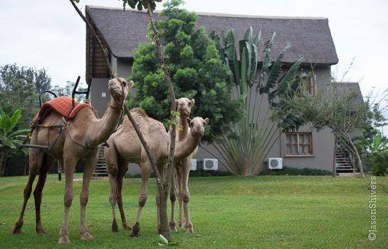 Weru Weru River Lodge 