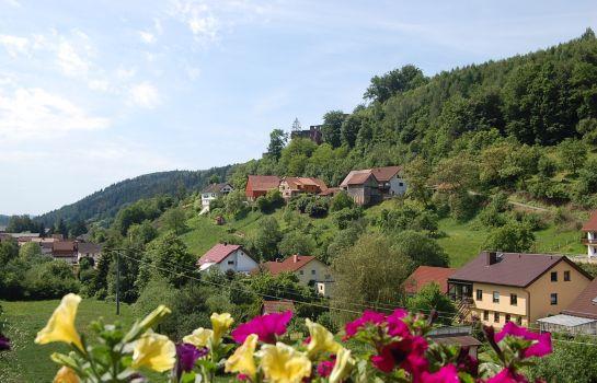 Hotel Landgasthof Gruner Baum