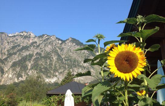 Gasthof Schorn