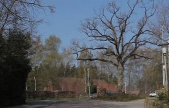 Hotel Backenkohler
