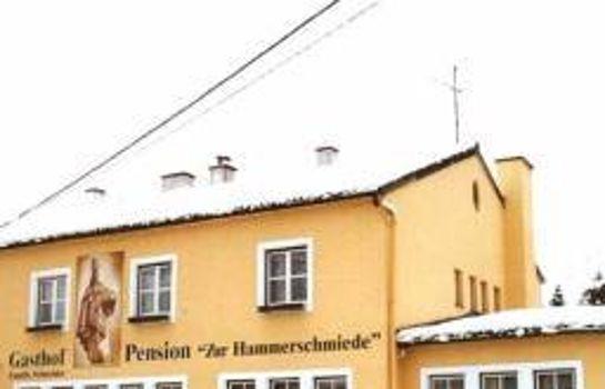 Gasthof Pension Zur Hammerschmiede Drosendorf-Zissersdorf Austria thumbnail
