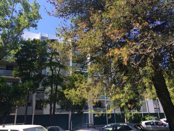 Apt Acacias Cascais
