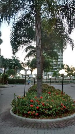 BARRA central Park