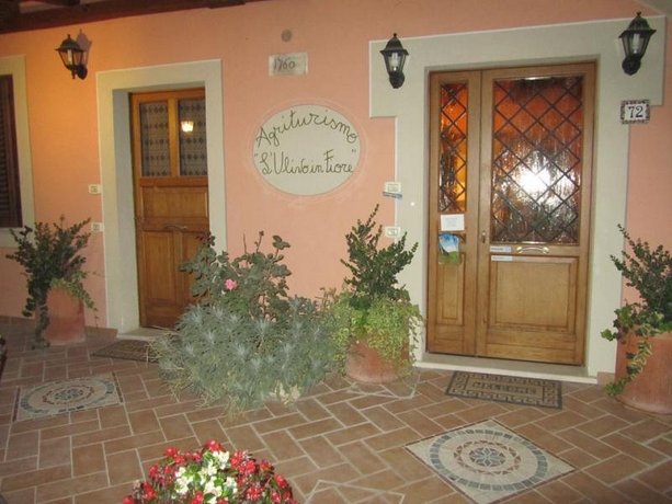 Agriturismo L'Ulivo in Fiore