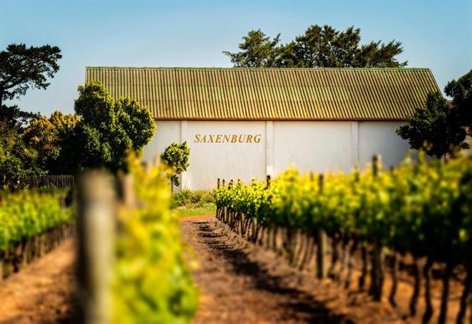 Saxenburg Wine Farm