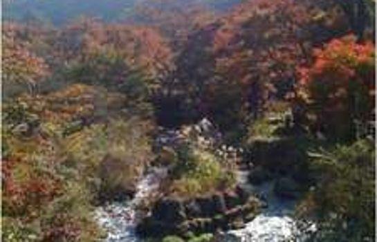 Hiratsuru