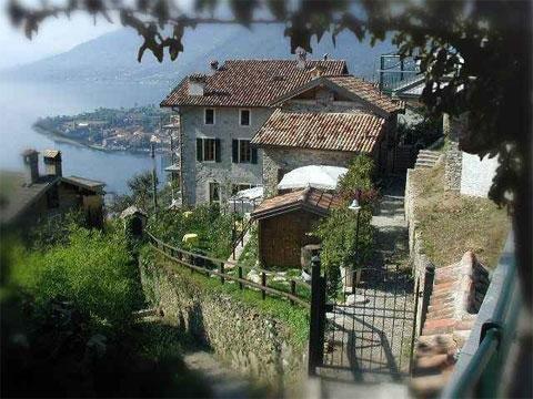 Amarone