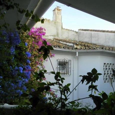 Atico Puerto Banus Marbella