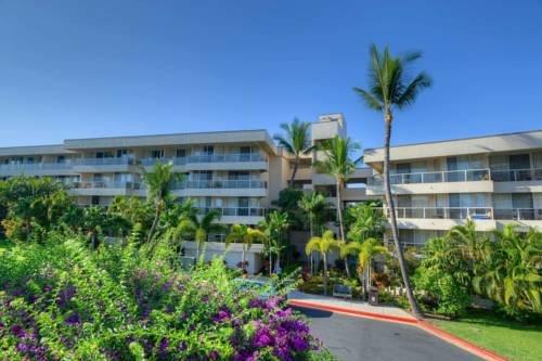 Maui Banyan H-503