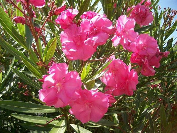 the cottage - german guesthouse, 圣弗朗西斯湾 - 查询比价预订