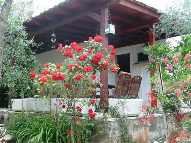 House Oliva