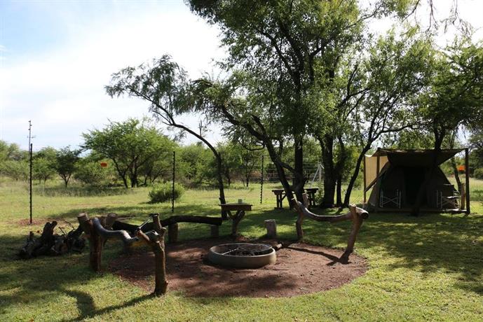 thorn tree bush camp