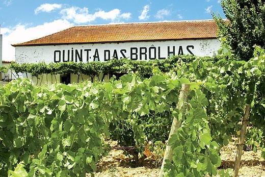 Quinta das Brolhas