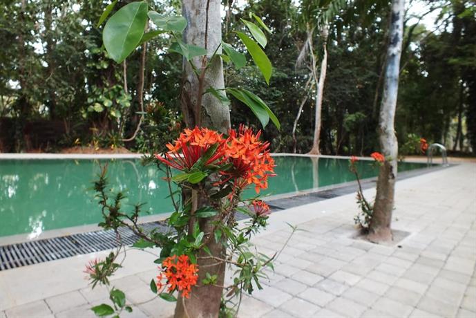 Diklande Estate Bungalow