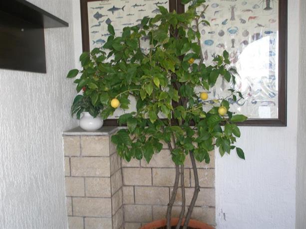 Guesthouse Hacijenda