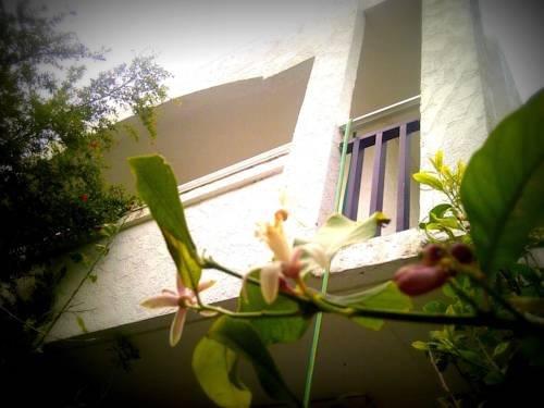 Thalassa Studios