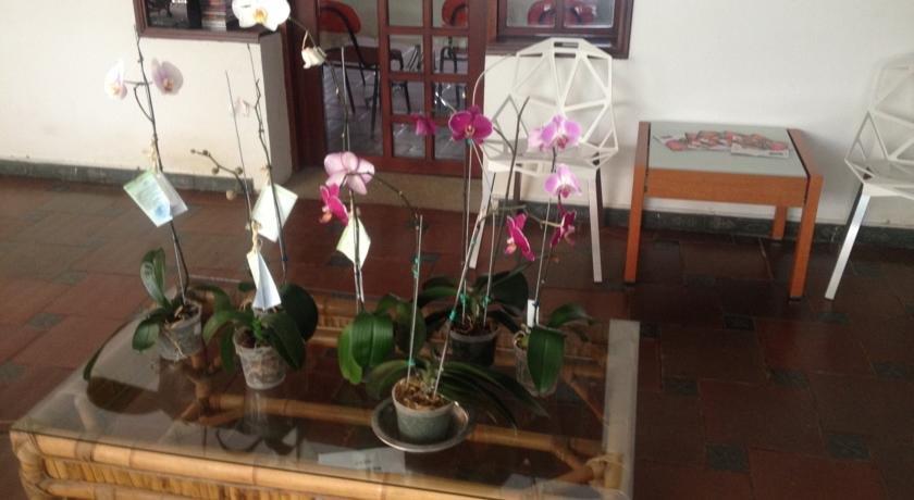 Orquideas del Tolima