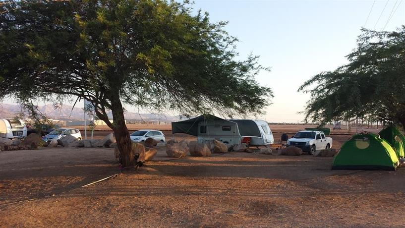 Caravan In the Desert