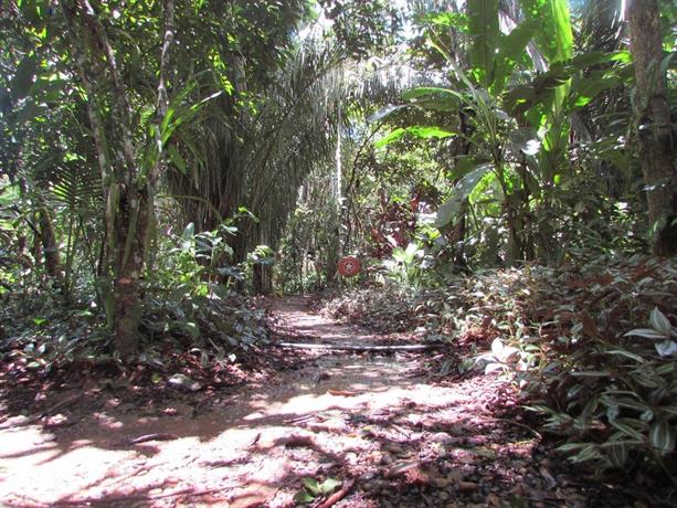 Kapievi Ecovillage