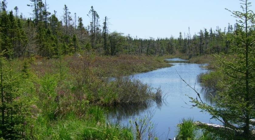 eagle valley cottages