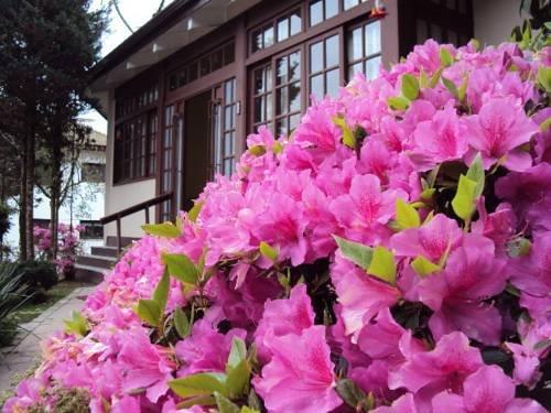 Pousada Gardenia Guest House
