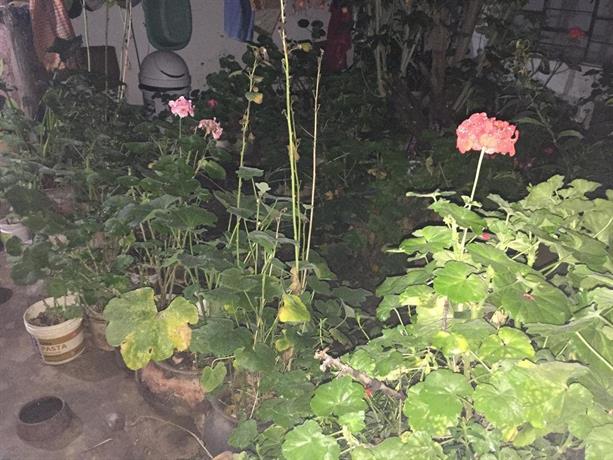 Homestay - Casa Mirita