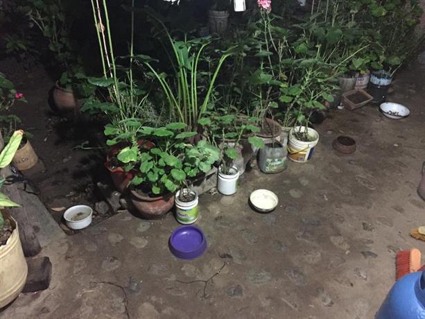 Homestay - Casa Mirita